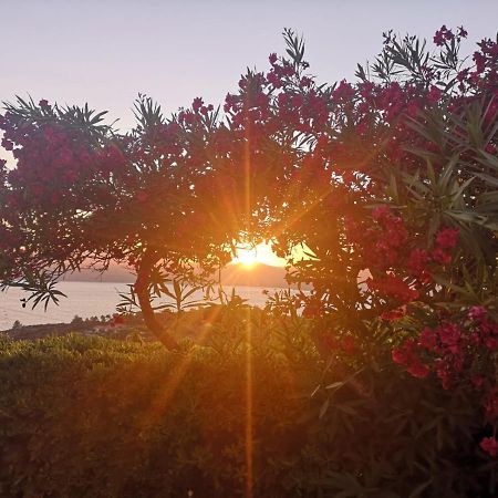 La Casa Sul Tramonto - Capoliveri - Services Included Kültér fotó